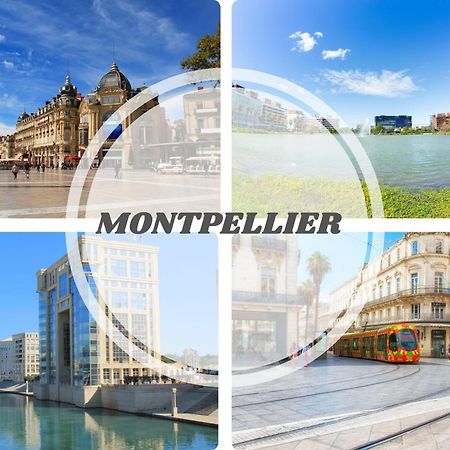Le Calderini Appart - Face Plage Wifi Et Park Gratuit Calme - Resid Le Surcouf -Top Pros Servicesconciergerie La Grande Motte Exterior photo